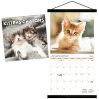 Međunarodni trendovi zidni kalendar sa slatkim mačićima i magnetskim okvirom