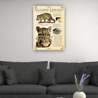 Plakat oblačnog leoparda iz 24mch za podučavanje zidne umjetnosti Vintage printovi Ukrasno slikarstvo za dnevni