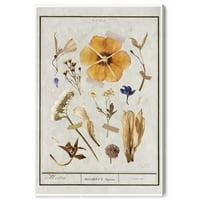 Botanička studija I cvjetna i botanička zidna umjetnička ispis bijeli 16x24