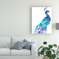 Zaštitni znak likovna umjetnost 'Peacock Splash I' Canvas Art by Jennifer Goldberger